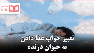 تعبیر خواب غذا دادن به حیوان درنده