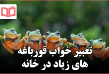 تعبیر خواب قورباغه های زیاد در خانه