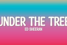 متن و ترجمه آهنگ Under the Tree از Ed Sheeran