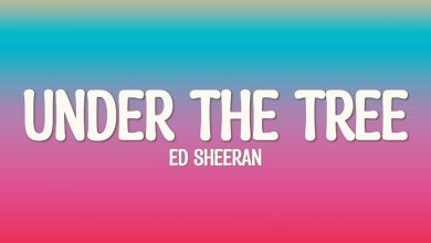 متن و ترجمه آهنگ Under the Tree از Ed Sheeran