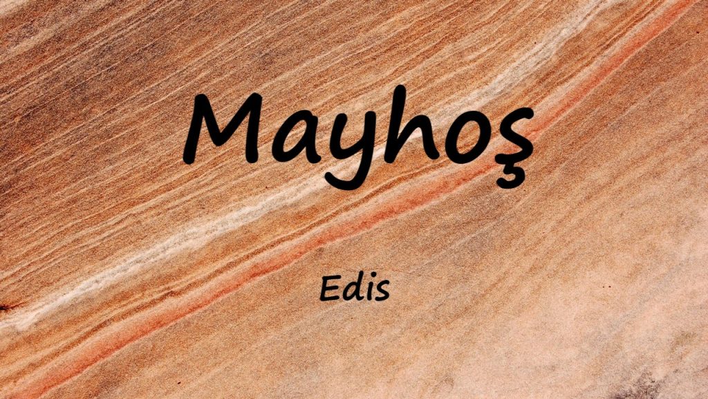 متن و ترجمه آهنگ Mayhoş از Edis