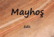 متن و ترجمه آهنگ Mayhoş از Edis