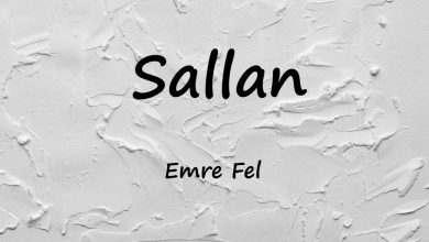 متن و ترجمه آهنگ Sallan از Emre Fel