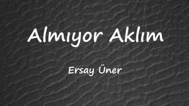 متن و ترجمه آهنگ Almıyor Aklım از Ersay Üner