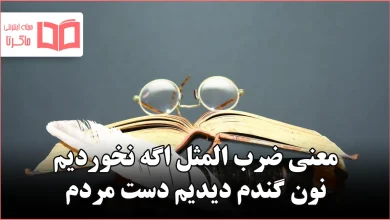 معنی ضرب المثل اگه نخوردیم نون گندم دیدیم دست مردم