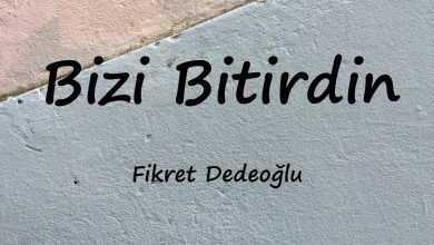 متن و ترجمه آهنگ Bizi Bitirdin از Fikret Dedeoğlu