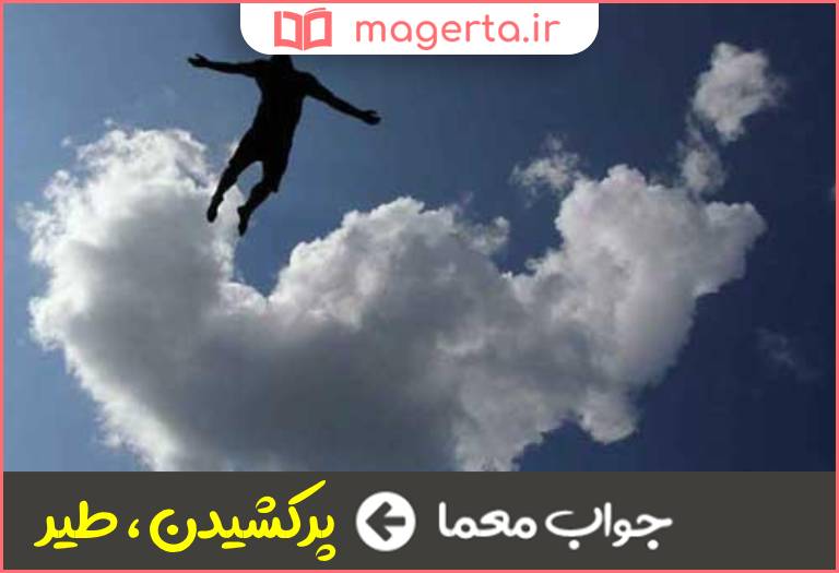 جواب معما پرواز كردن در جدول