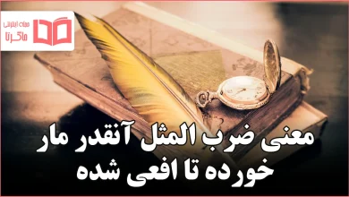 معنی ضرب المثل آنقدر مار خورده تا افعی شده