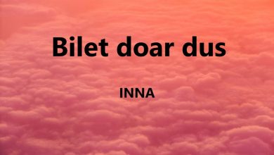 متن و ترجمه آهنگ Bilet doar dus از INNA