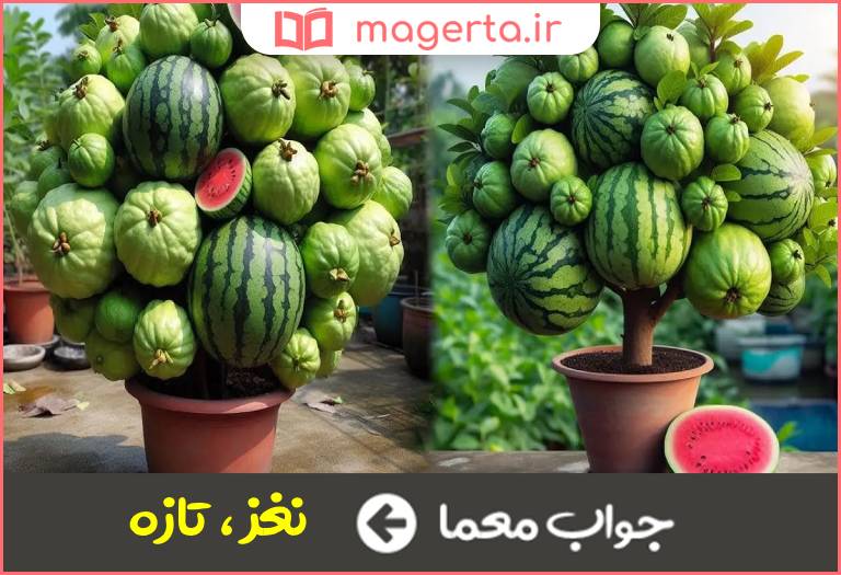 جواب معما بدیع در جدول