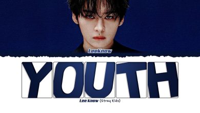 متن و ترجمه آهنگ Youth از LEE KNOW عضو Stray Kids