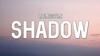 متن و ترجمه آهنگ Shadow از Livingston