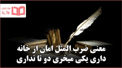 معنی ضرب المثل امان از خانه داری یکی میخری دو تا نداری