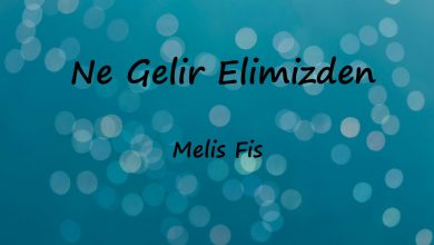 متن و ترجمه آهنگ Gelir Elimizden از Melis Fis