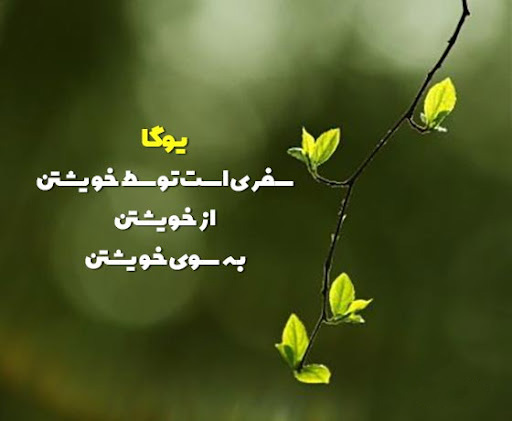 عکس پروفایل ناب درباره یوگا
