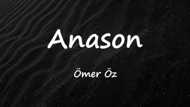 متن و ترجمه آهنگ Anason از Ömer Öz