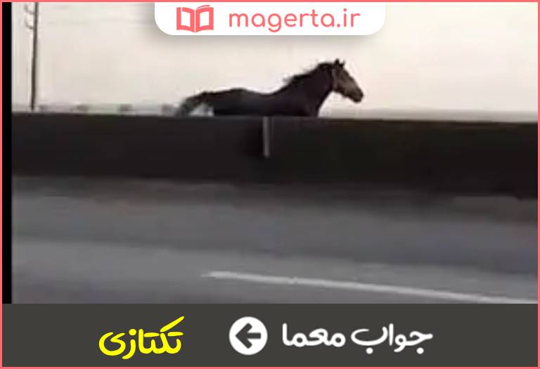 جواب معما به تنهایی تاختن در جدول