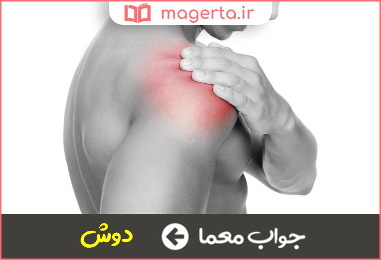 جواب معما شانه در جدول