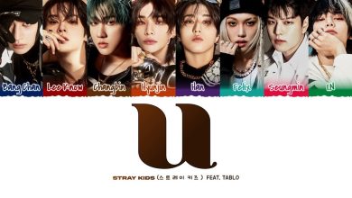 متن و ترجمه آهنگ U از Stray Kids و Tablo
