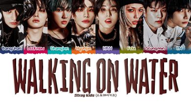 متن و ترجمه آهنگ Walkin On Water از Stray Kids
