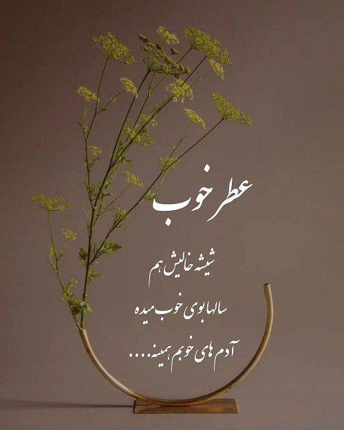 عکس نوشته کوتاه درباره ارزش شخصیت بالا