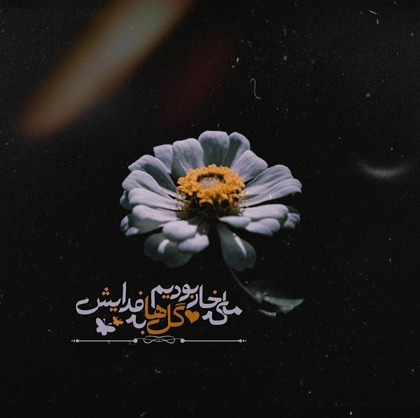 عکس پروفایل زیبا درباره تضاد بین لطافت گل و تیزی خار