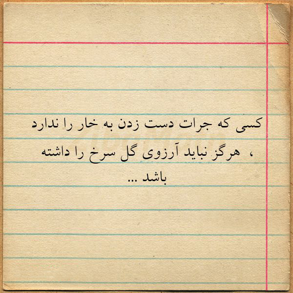 عکس متن دار زیبا و مفهومی در مورد لطافت گل در میان خارها