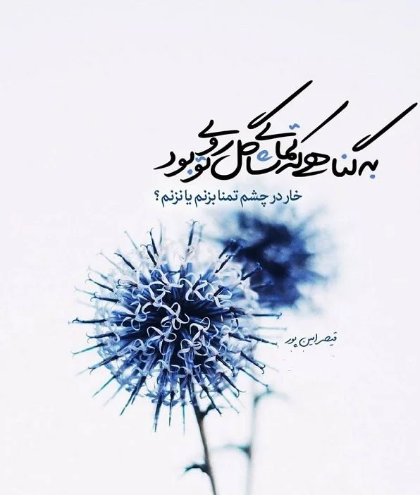 عکس نوشته ادبی در مورد زیبایی گل در کنار سختیهای خار