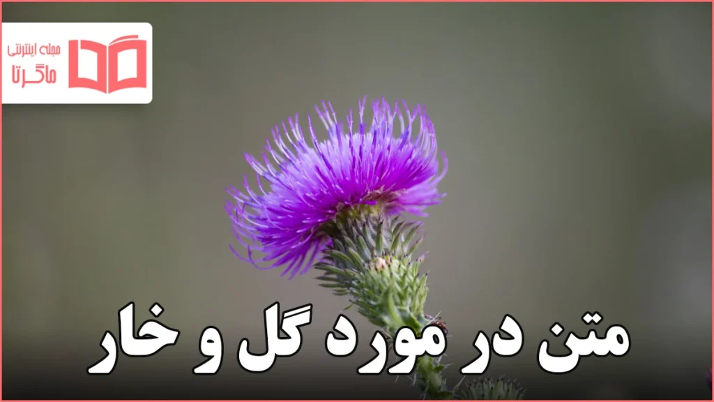 متن در مورد گل و خار