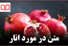 متن در مورد انار