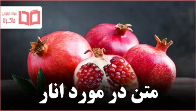 متن در مورد انار