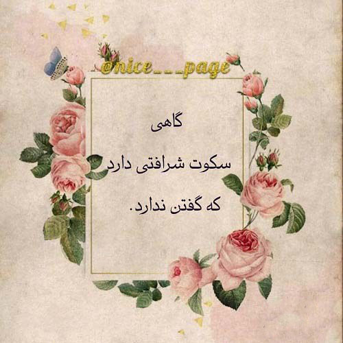 عکس استوری سنگین درباره سکوت در برابر نادان