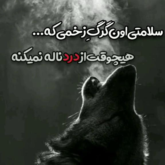 عکس پروفایل سنگین در مورد خشم نهفته در دل زخمها