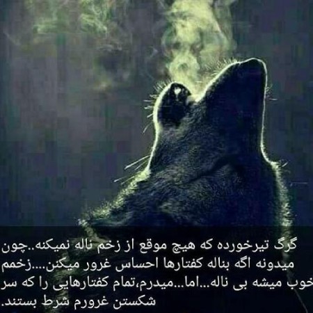 عکس متنی انگیزشی درباره قدرت بازگشت پس از زخمی شدن