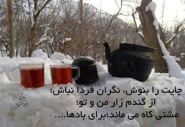 داغ ترین و احساسی ترین کپشن چای در عصر زمستانی