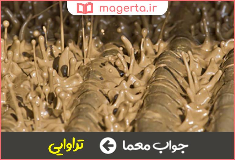 جواب معما خاصیت نفوذ یک سیال در جدول
