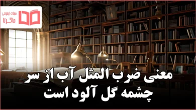معنی ضرب المثل آب از سر چشمه گل آلود است