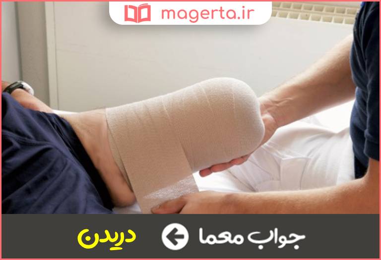 جواب معما به بریدن چیزی قطعه در جدول