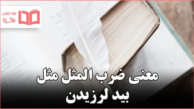 معنی ضرب المثل مثل بید لرزیدن