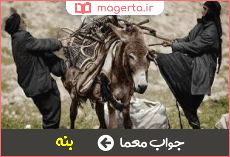 جواب معما اسباب سفر در جدول