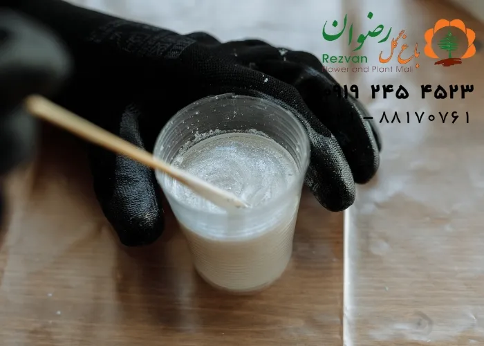 برای رشد سریع گیاهان آپارتمانی چه باید کرد