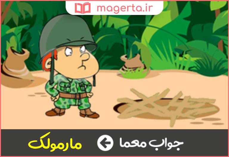 جواب معما کنایه از زیرک در جدول