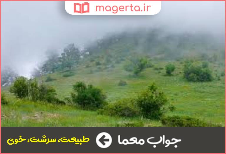 جواب معما عریکه در جدول
