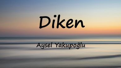 متن و ترجمه آهنگ Diken از Aysel Yakupoğlu