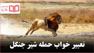 تعبیر خواب حمله شیر جنگل