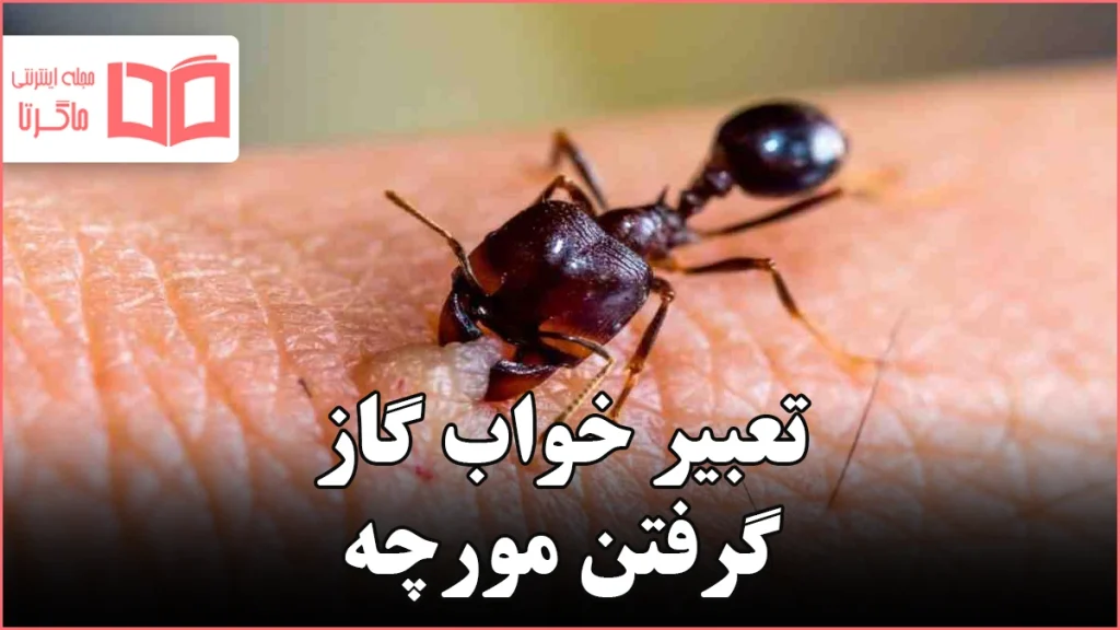 تعبیر خواب گاز گرفتن مورچه