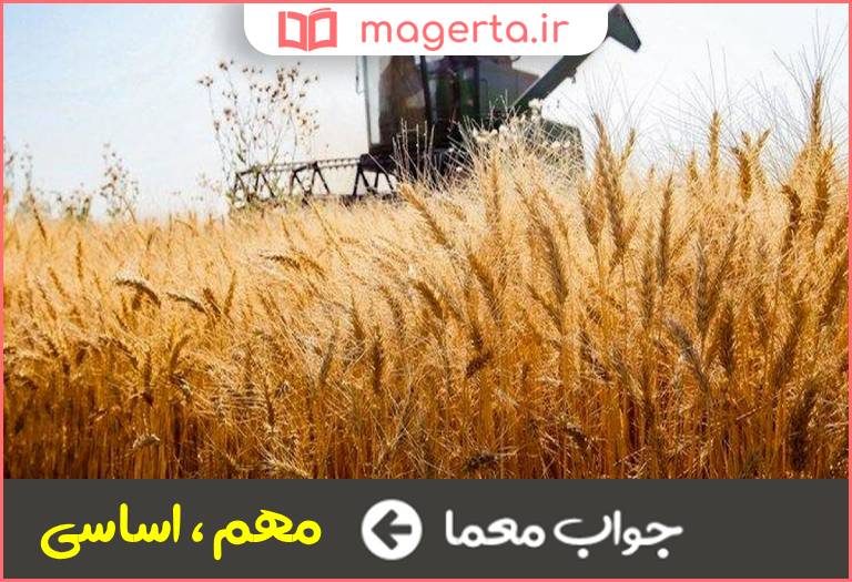 جواب معما بنیادی در جدول