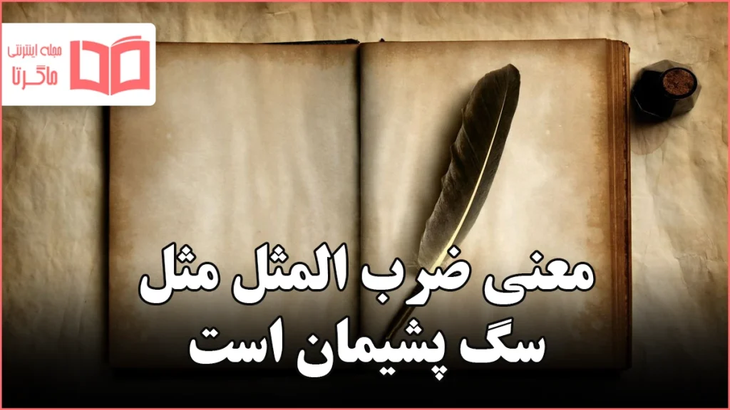 معنی ضرب المثل مثل سگ پشیمان است