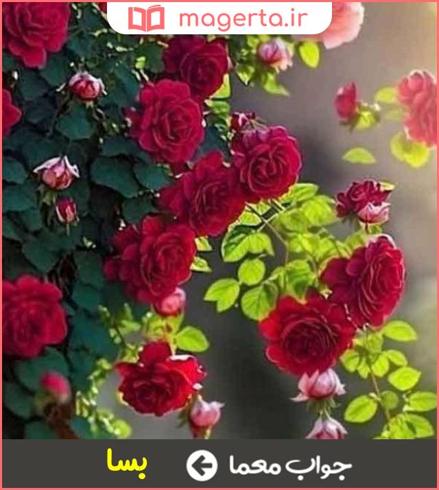 جواب معما چه بسیار در جدول