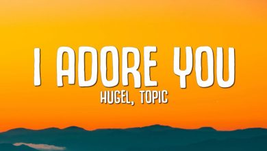 متن و ترجمه آهنگ I Adore You از Hugel و Arash و Topic و Daecolm
